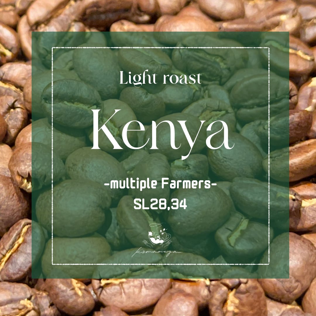 【ケニア】Masai AA Washed │Light roast