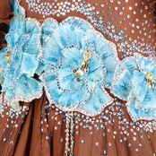 社交ダンス 衣装 クリスアン chrisanne スタンダードドレス スタンダード ドレス ワンピース 茶色 水色 フロート デモ 競技 ダンス パーティ 発表会 ブラウン系 ブルー系 花 フリル レース スカート 豪華 デザイン プリーツ 上品 競技用 衣装 エレガント ダンス衣装