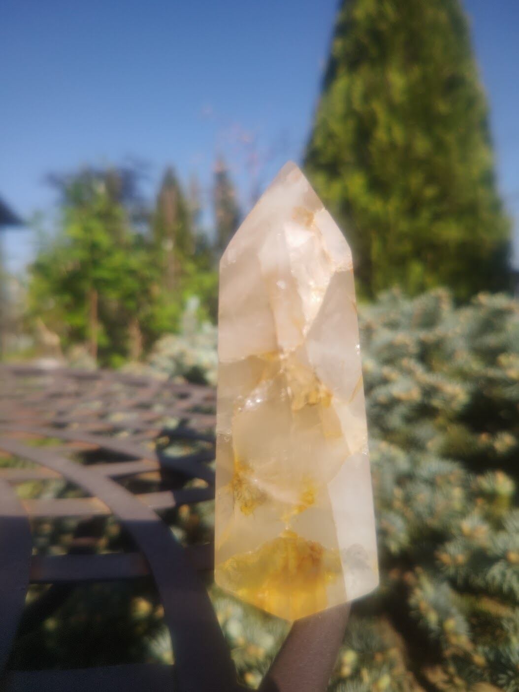 人生に豊かさをもたらす‼️ゴールデンヒーラー