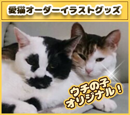 白猫 Lサイズ サンプルページ オーダー 白猫 Lサイズ サンプルページ オーダー