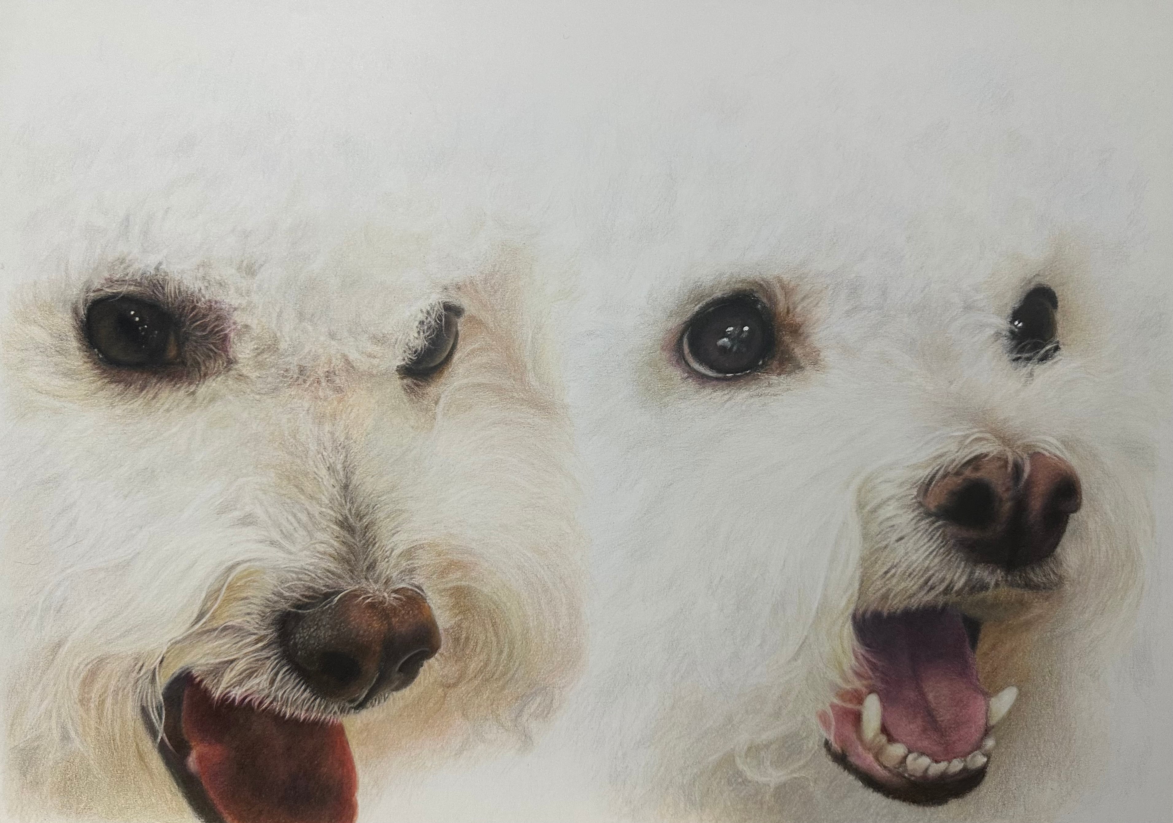 うちの子似顔絵 ペット似顔絵 イラストオーダー ねこ いぬ プレゼント