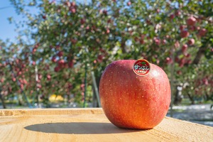 サンふじ  家庭用(キズ・ワレ等あり)　5kg