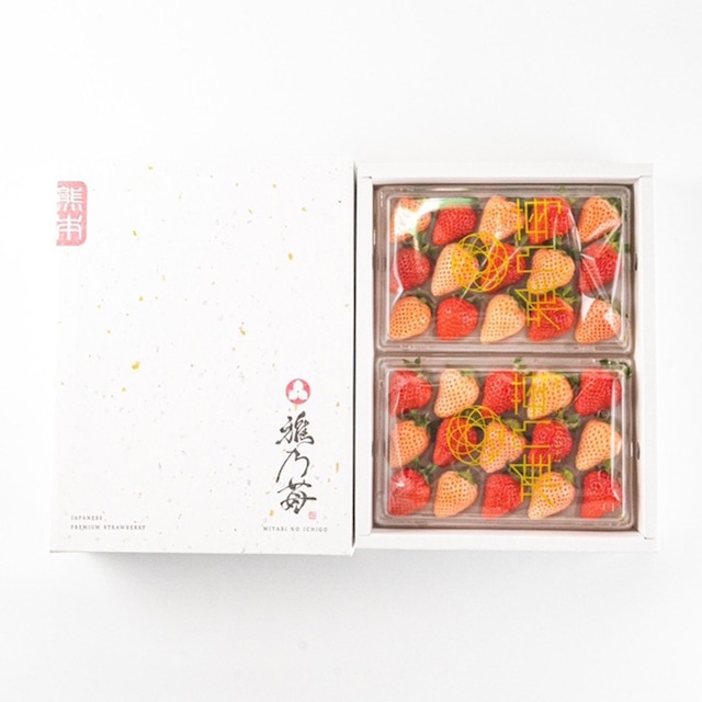 熊本産 雅乃苺  淡雪 赤いちご 紅白セット-250g×2