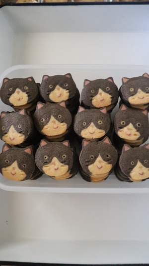 ノラネコの缶
