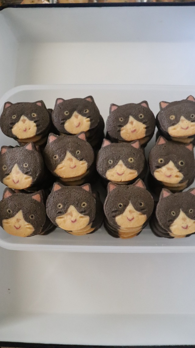 ノラネコの缶