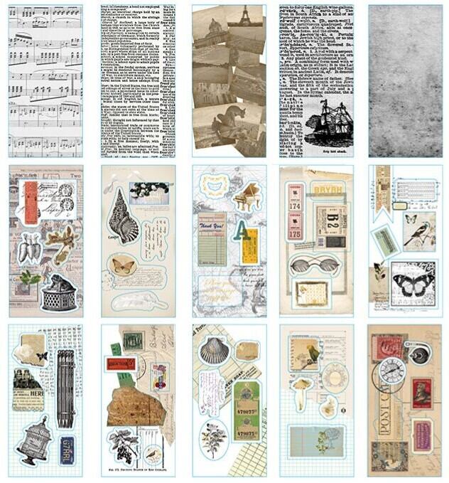 ❤️セール621⑦英語ビンテージ図鑑8冊セット　ジャンクジャーナル素材　洋書古書 ビンテージ系シール 海外 ボタニカル クラシック 英文 写真 楽譜