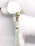 Collar&Leash set(Yuki)