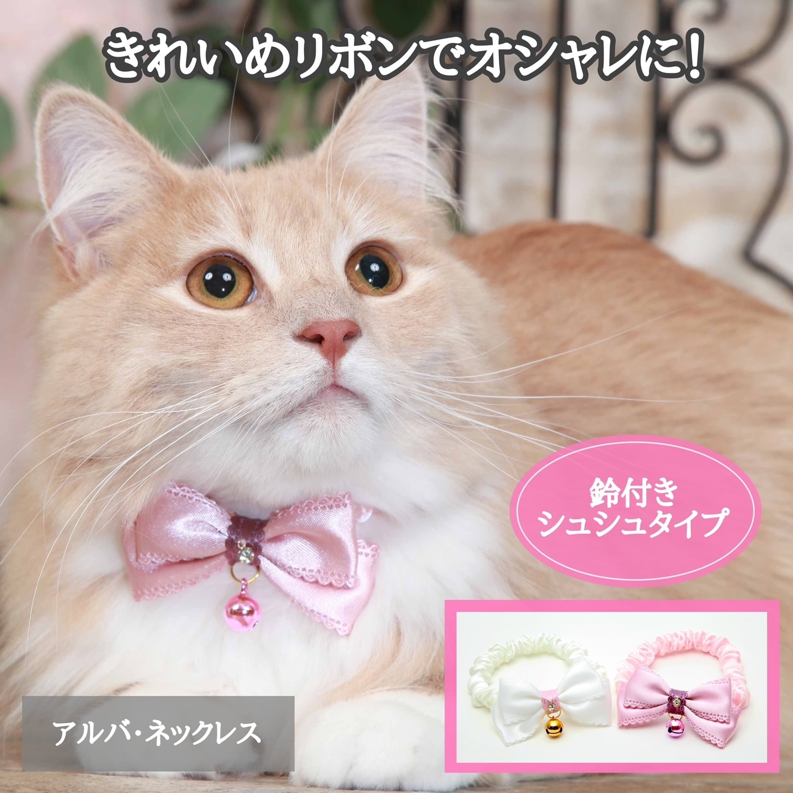 佐藤健　雑誌　たけてれDVD 猫様ネックレス付き mollive モリーヴ CHAIN ネックレス＆ブレス 佐藤健さん着用 - SE7EN