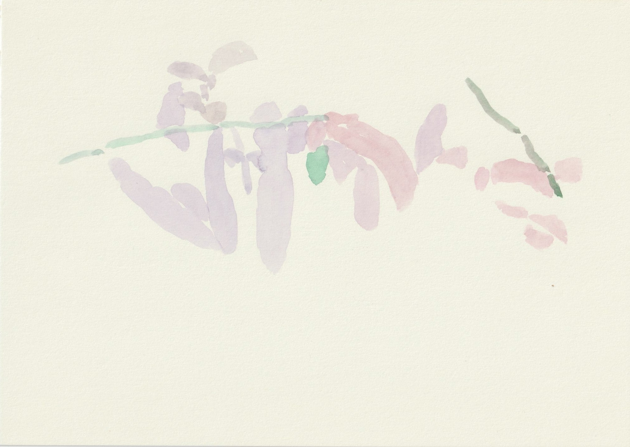 drawing : watercolor 01