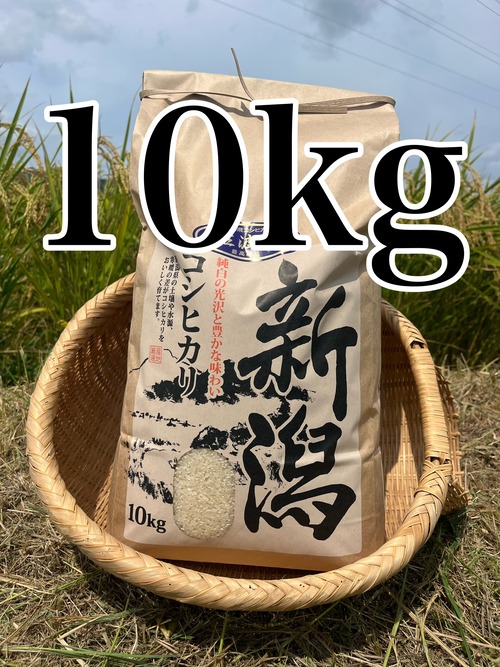 令和8年佐渡産コシヒカリ　10㎏ 画像