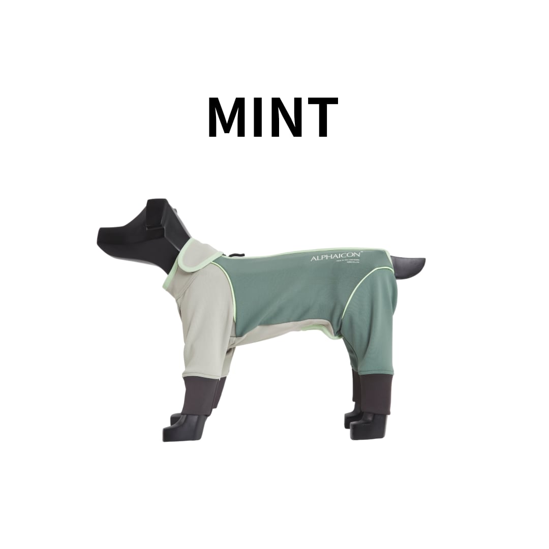 ALPHAICON SNOW DOG GUARD Mサイズ MINT ALPHAICONスノードッグガード