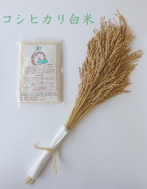 【450g】有機コシヒカリ白米