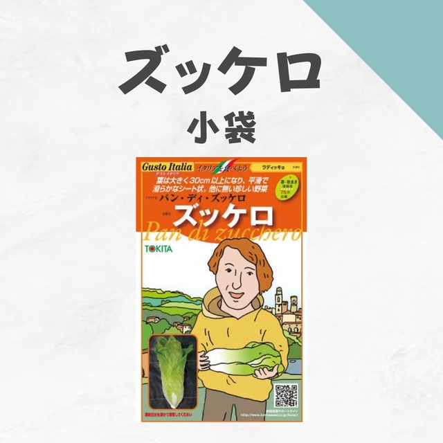 ズッケロ　ラディッキョ種子・小袋