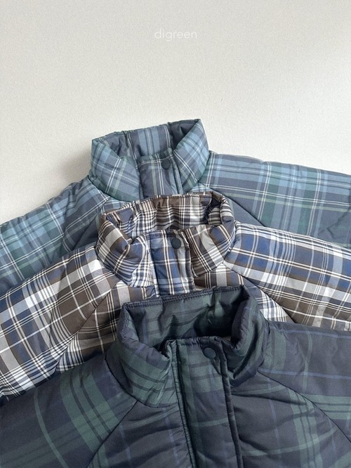 digreen25wn_Tori Check Padding
