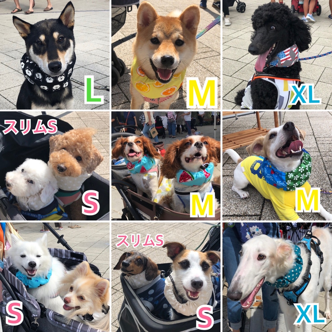 XXL ネッククーラー 大型犬
