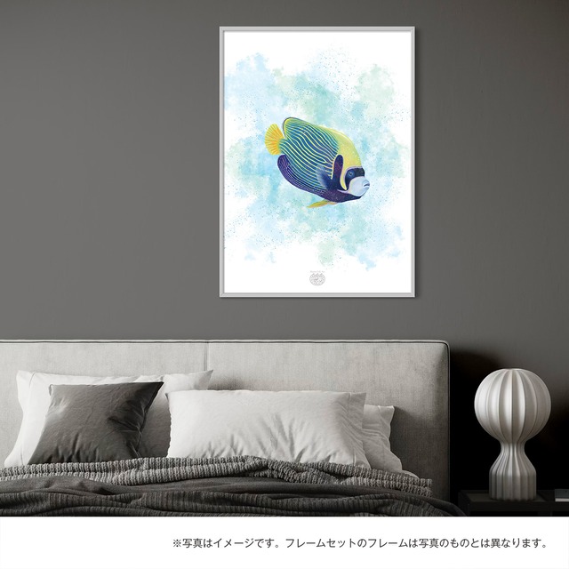 【海のいきものアートポスター／魚】タテジマキンチャクダイ