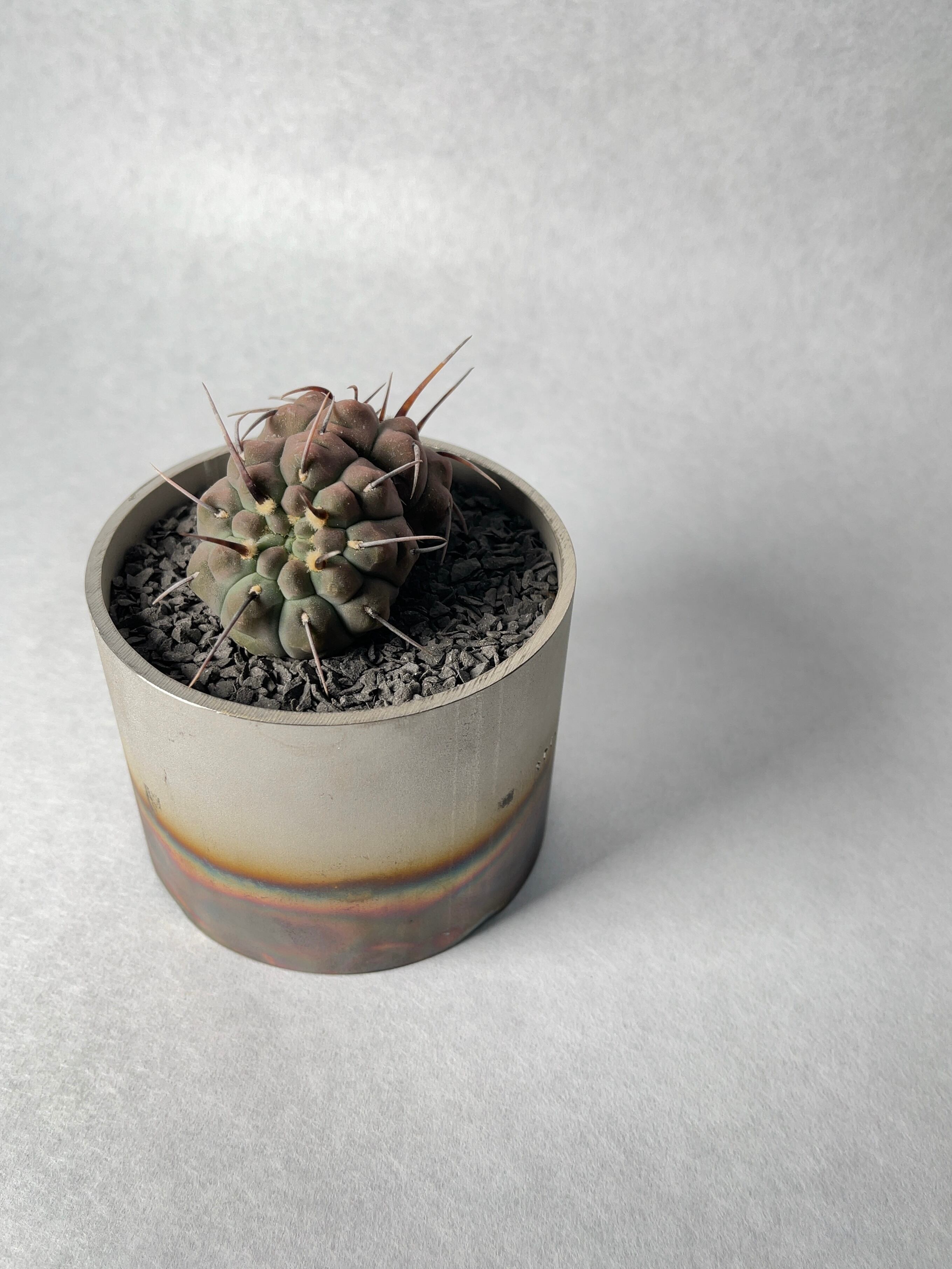 cec36b89975928e00236fb5daa439d