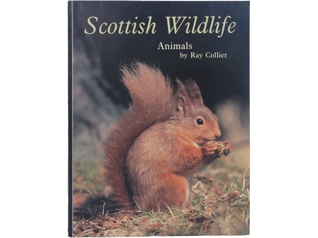 洋書◇自然界のカモフラージュ 動物写真集 本 カエル | 洋書堂