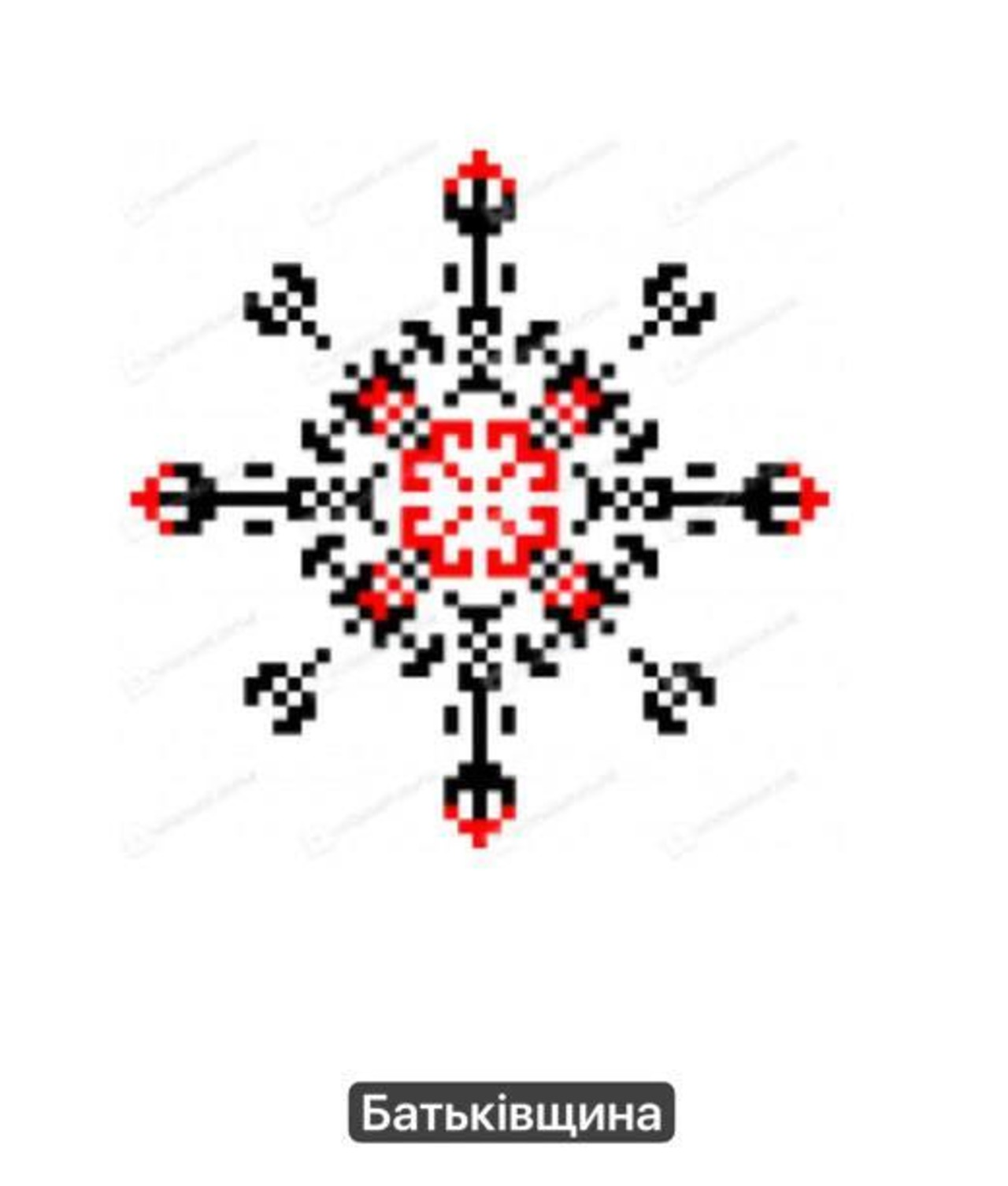 ウクライナ暗号手刺繍入りハンカチー 母国　(Батьківщина)　ハンドタオル - 4