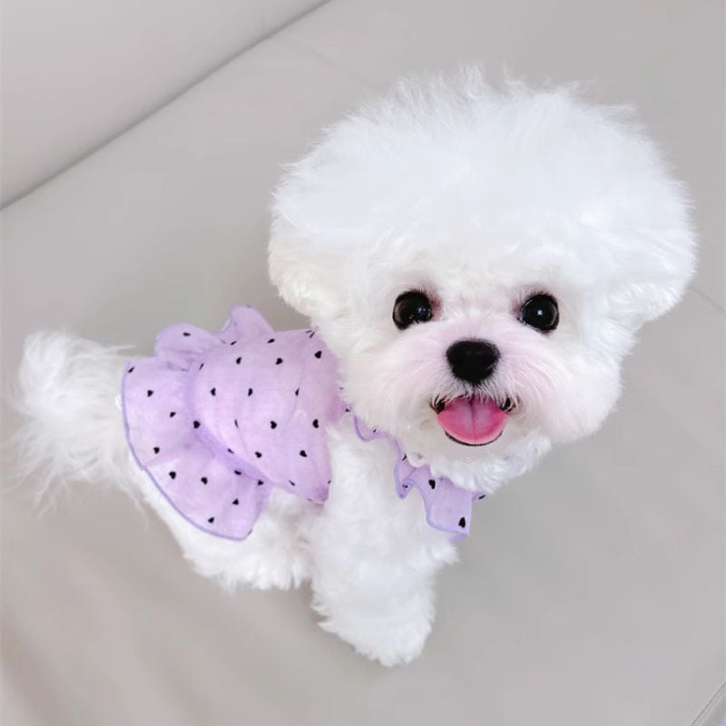 ハート模様のシースルーワンピース 犬服 00395