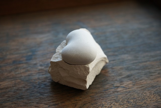 メニライトオパール 母岩付き Menilite Opal 961