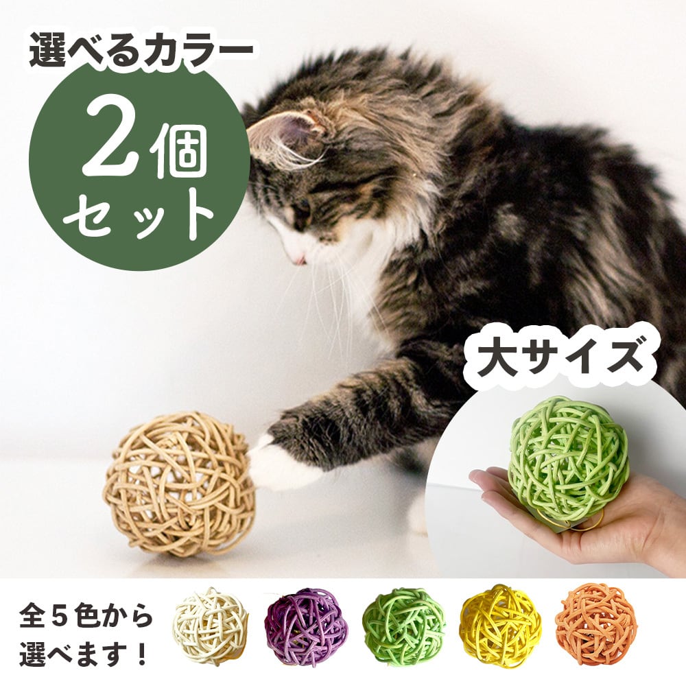 シーグラスアート ダックスフンド　おやつの時間 犬 ペット プレゼント シーグラスアート ダックスフンド おやつの時間 犬 ペット うち