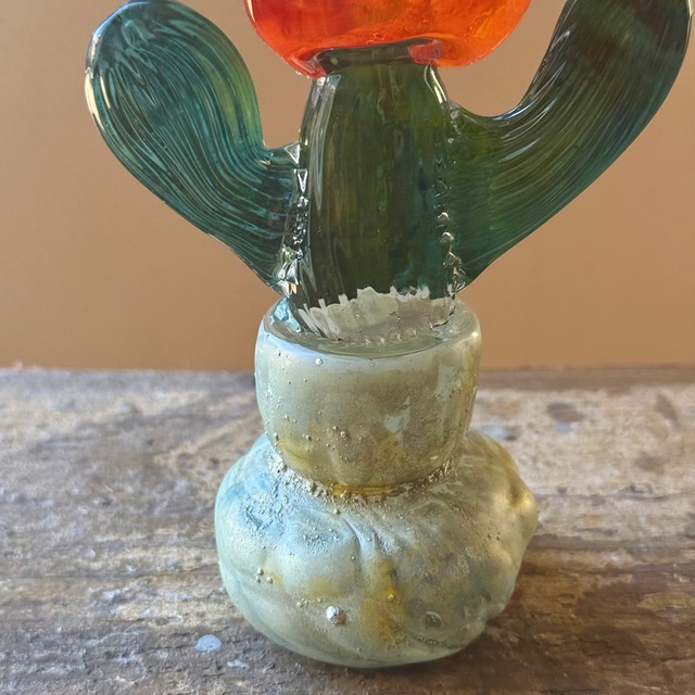 常盤 杏奈 glass plant-1