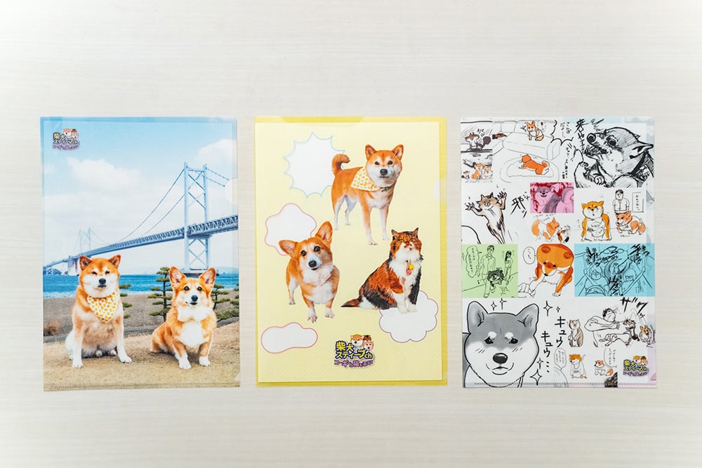 柴犬スティーブchおしゃべりラバーストラップ（購入時おまけ付） 受注生産販売品】柴犬スティーブchおしゃべりラバーストラップ ハル