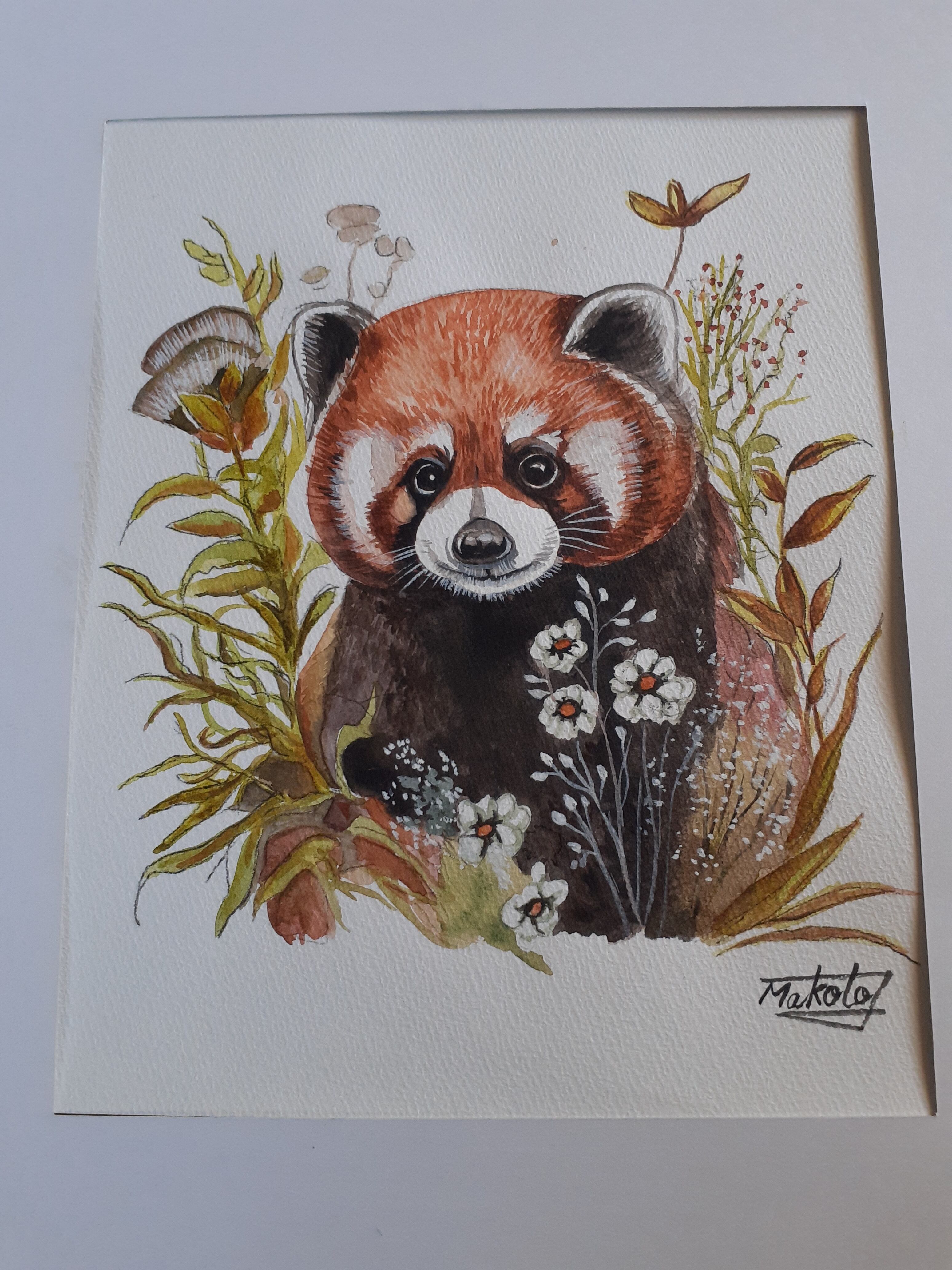 水彩画 レッサーパンダ | 工房 和み