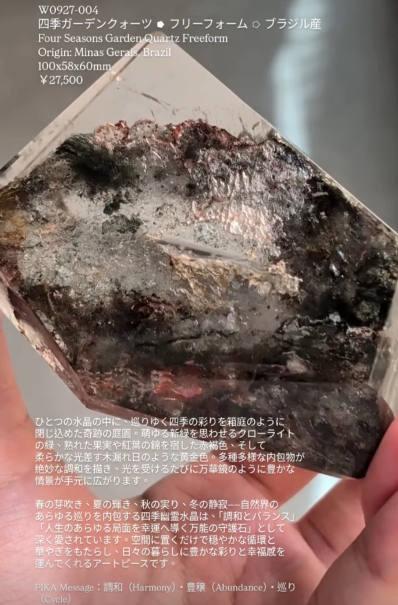 ⭔ お客様専用ページ ✦ momoa_azu