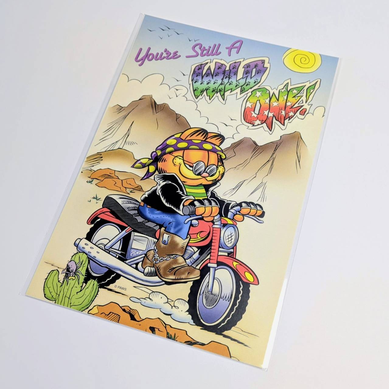 狭いスペースでも◎待望のB5ポスター！【 Garfield（ ガーフィールド ） 】 POSTER / ポスター 〚アメリカン雑貨 アメトイ〛