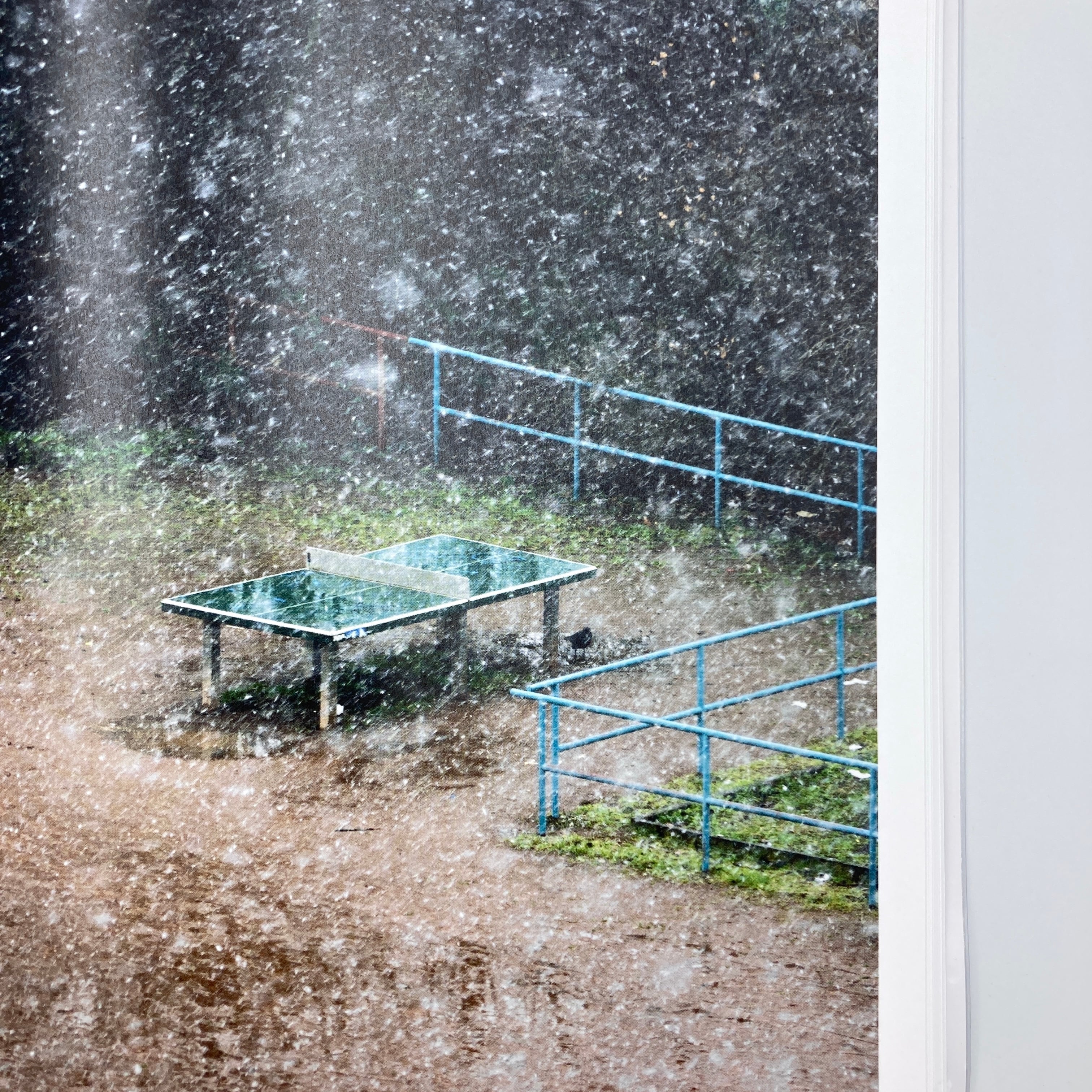 TTP / 富安隼久 (Hayahisa Tomiyasu) | 石引パブリック