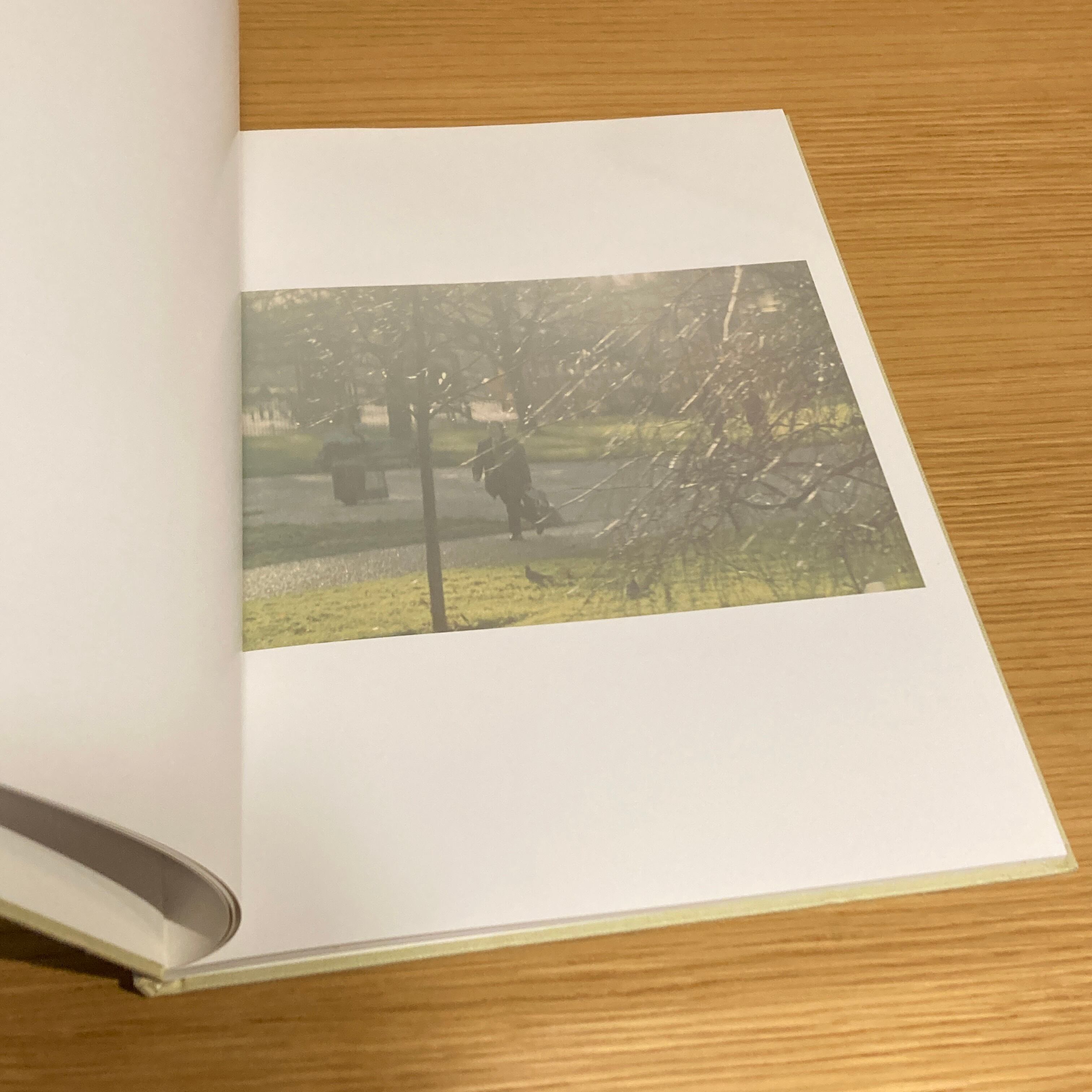 初版Anders Edstrom Spidernets Places A Cre