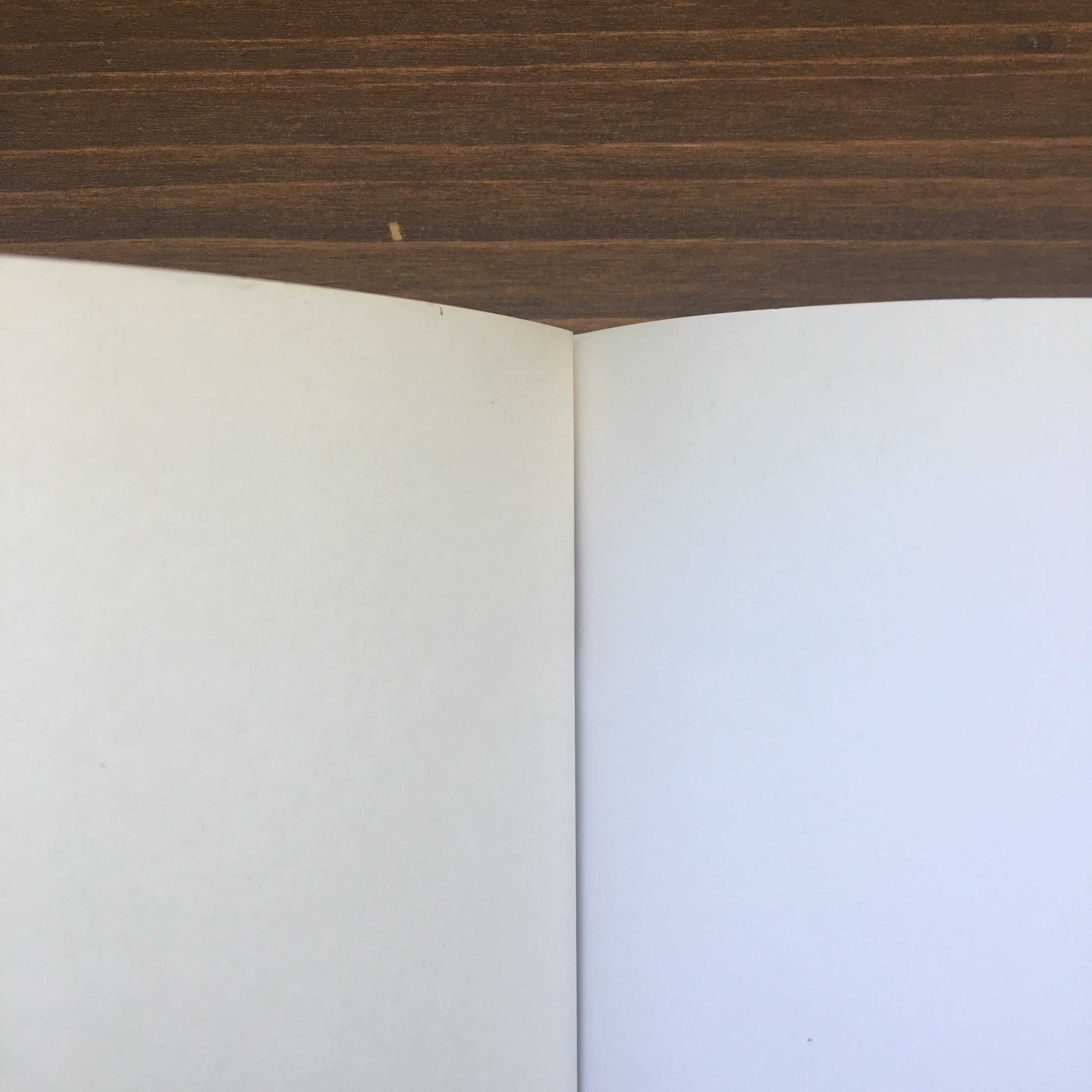 THE VERY HUNGRY CATERPILLAR(Eric Carle)