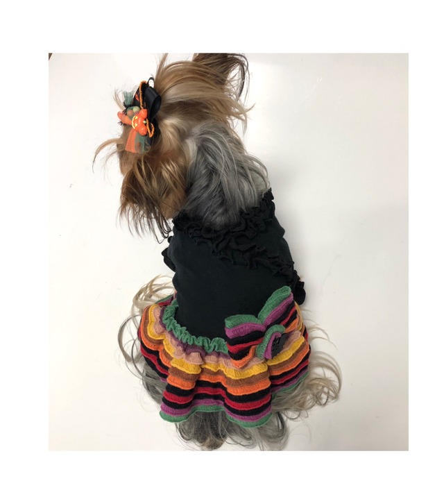犬服オーダー ハロウィンニット魔女ワンピース Dogdress Ari Ra 犬服オーダー ハロウィンニット魔女ワンピース Dogdress Ari Ra