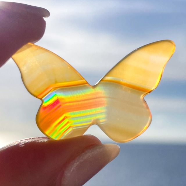 Iris Agate (Butterfly 9) ✧ イリスアゲート