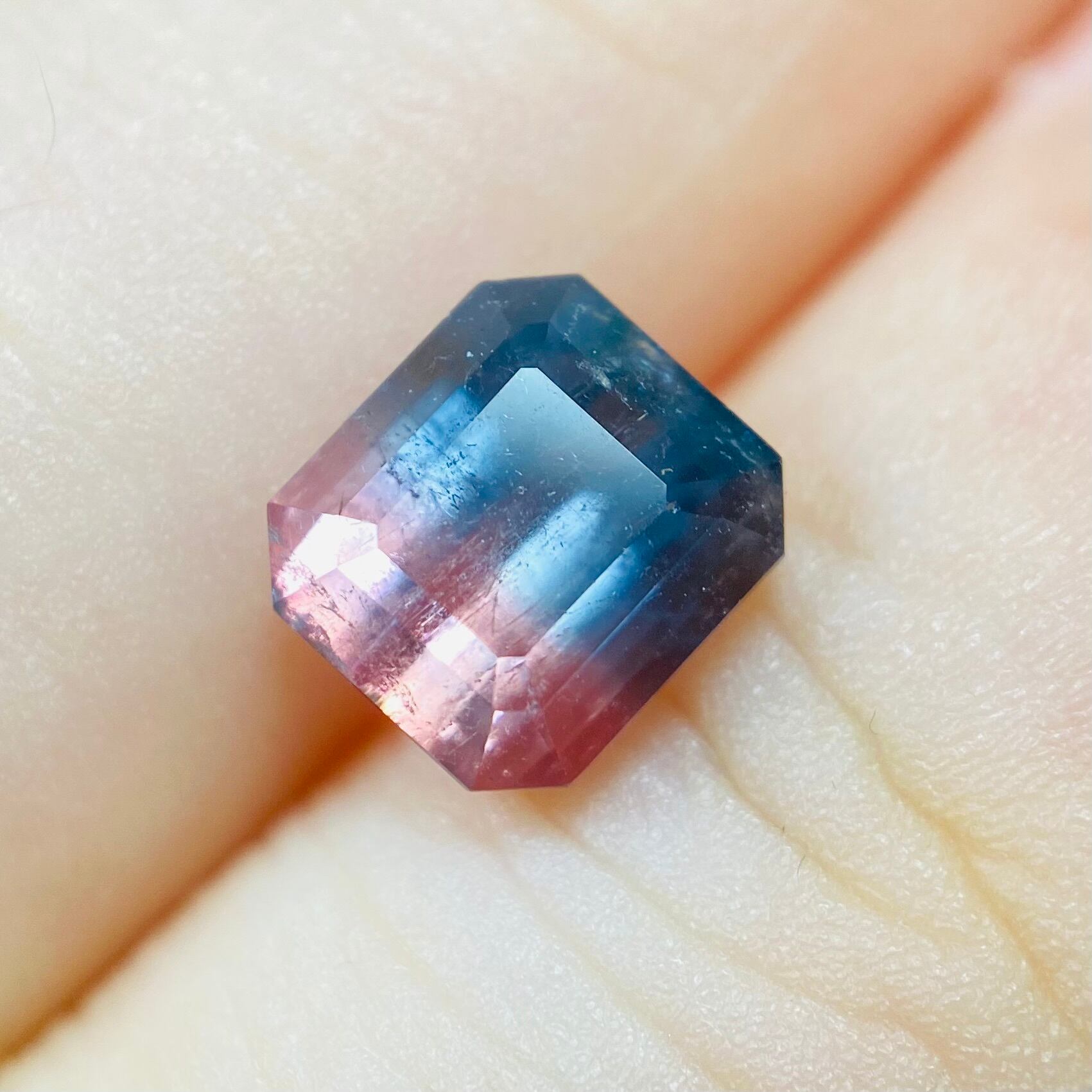 2色の紫陽花 バイカラートルマリン