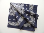 【Deadstock】1980-90s RN13962 PAISLEY Vintagebandanna 
