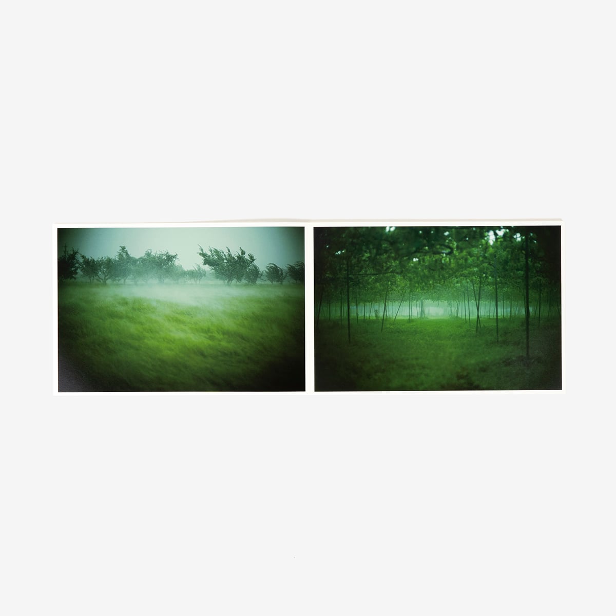 cee4b4d42ca2049c35e3aefc7fb90f