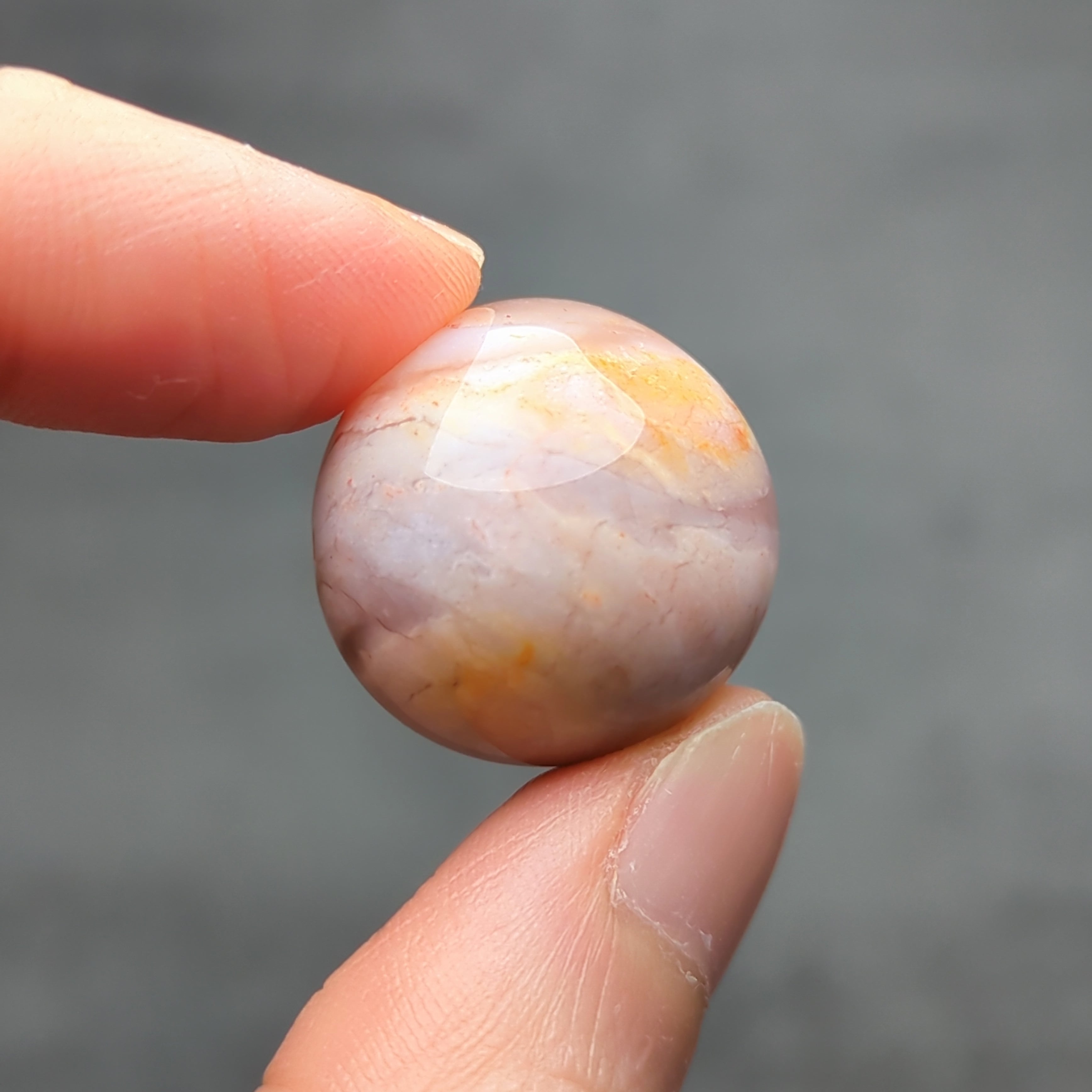 ペトリファイドウッドのミニスフィアNo.1 Φ20mm | ほしあかり 天然石のお店