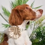 【PUPPYGALLERY公式】犬のおもちゃ Striped Daily Daisy Toy