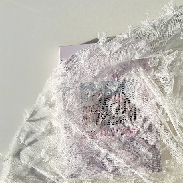 No.100【即納・再入荷】チュール / dot ribbon