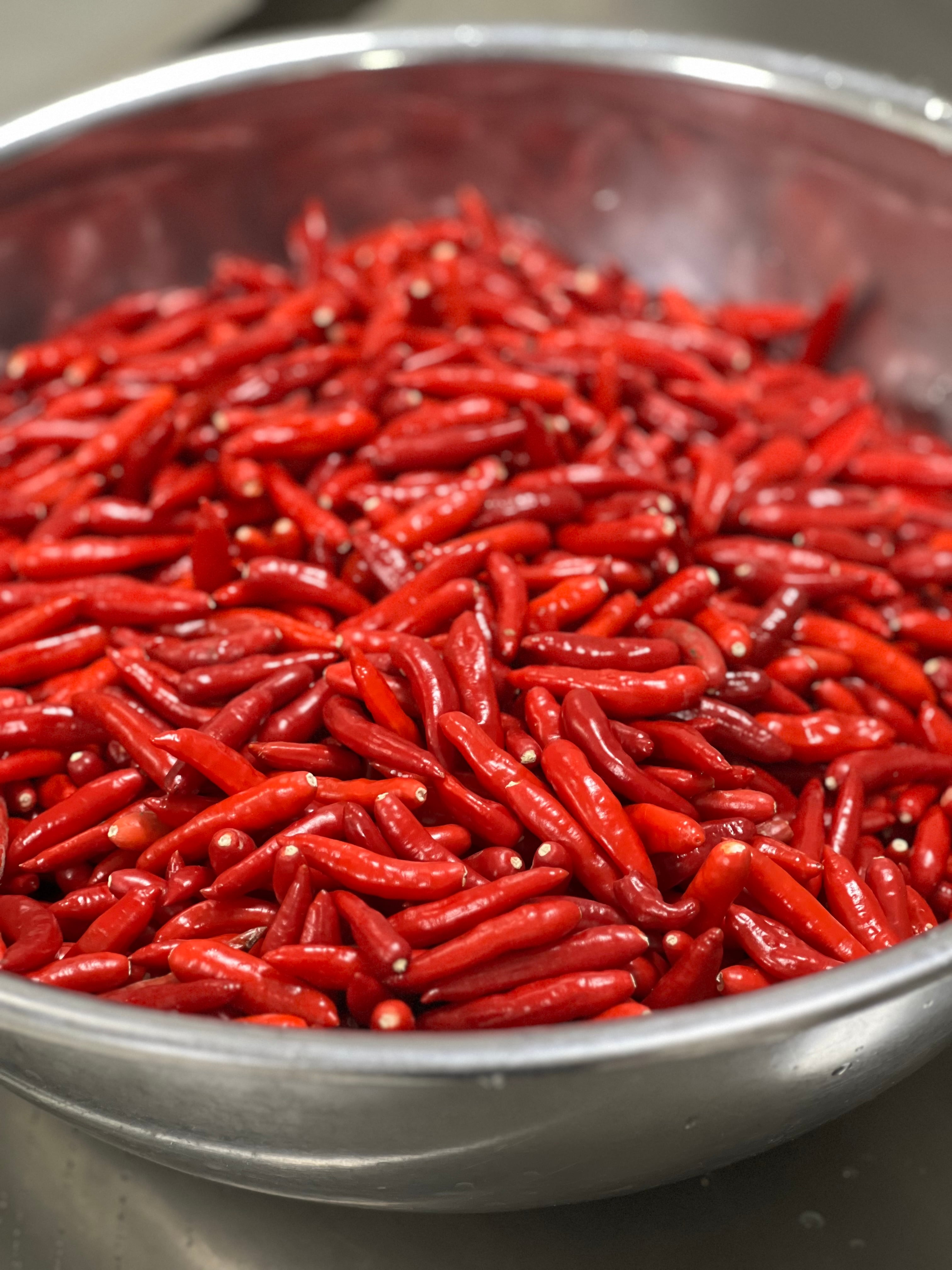 超貴重！沖縄県中城村の在来種島唐辛子「中城ヂゴレ」一味唐辛子［粗