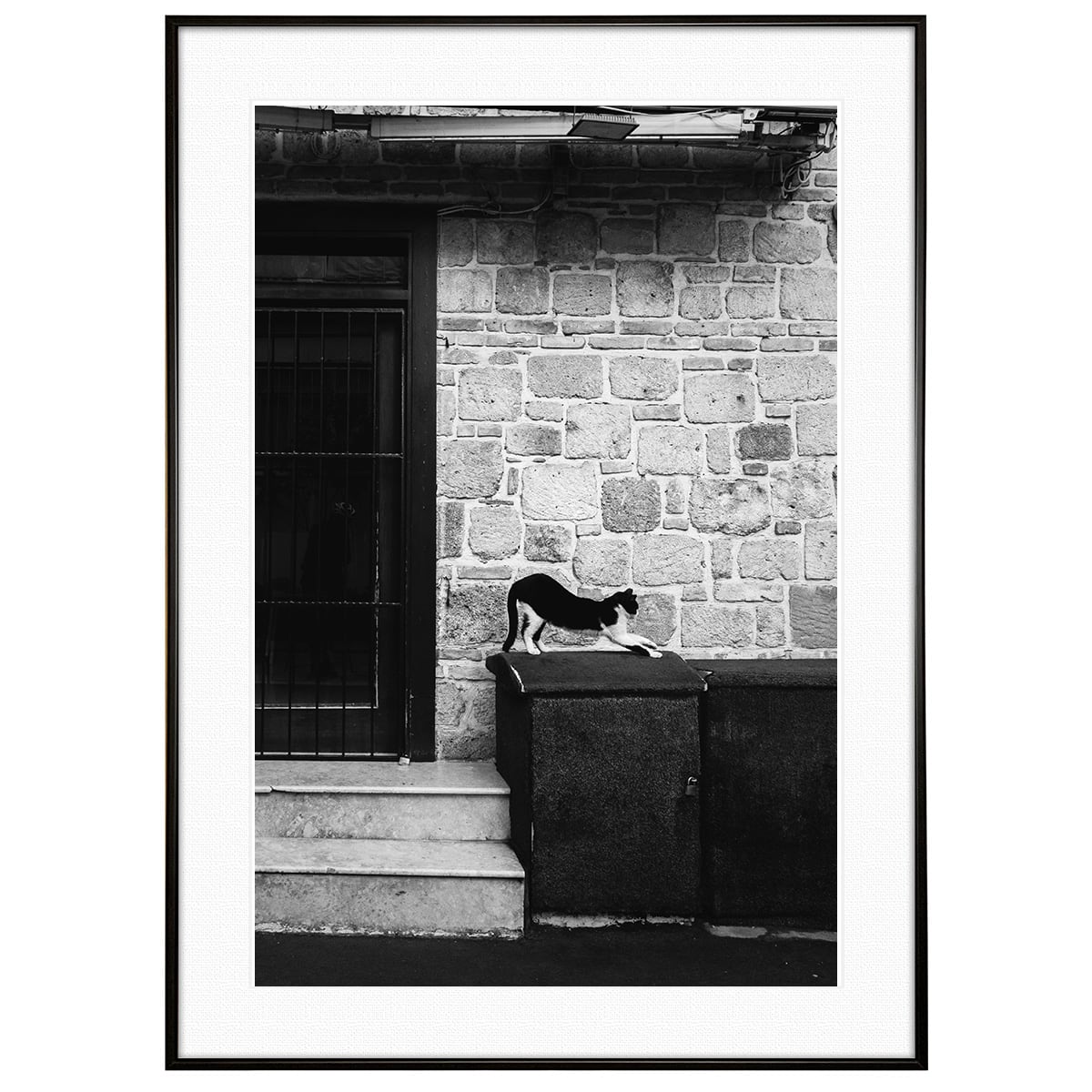 動物写真 伸びをする猫 インテリア モノクロアートポスター額装 AS4611