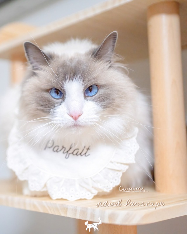 受注制作【curum】round lace cape〔お名前item〕