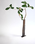 森口信一 Shinichi Moriguchi - ニョロニョロ花器 Vase