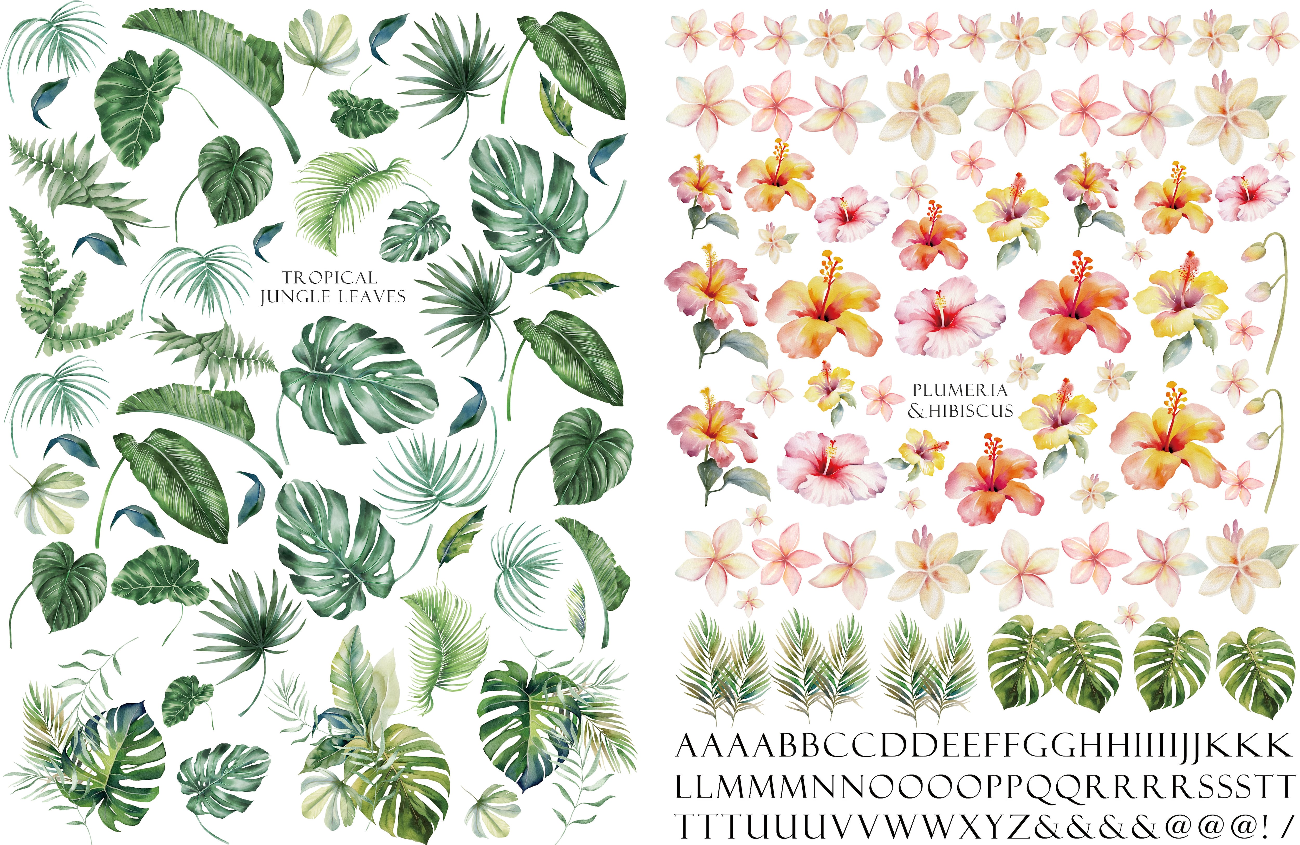 【set割引】2枚セット 水彩ジャングルリーフ&プルメリア・ハイビスカス (ポーセリンアート)