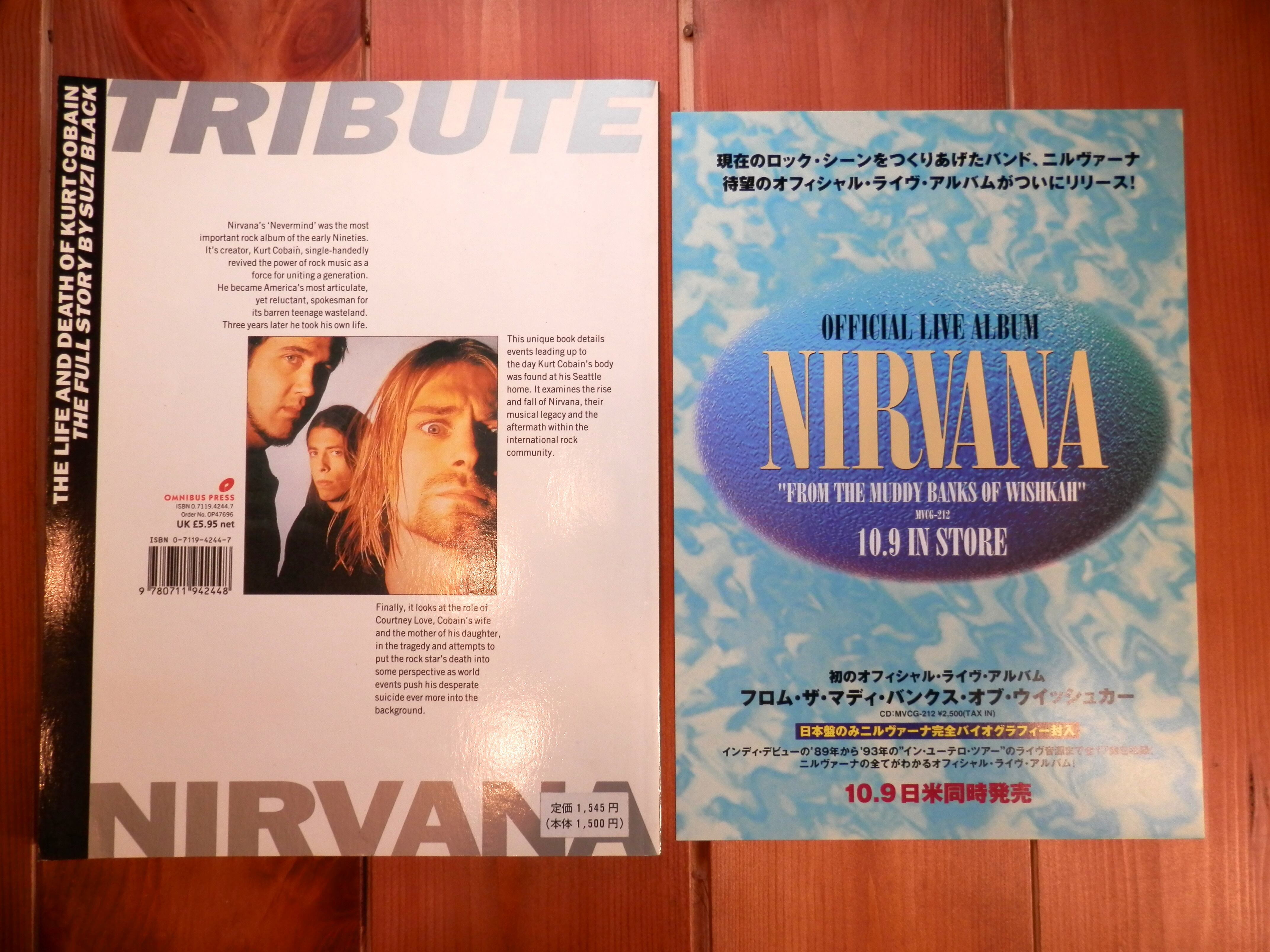 1994【paperback】NIRVANA TRIBUTE 音盤窟レコード