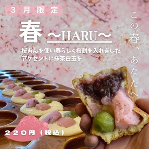 【2024年3月限定】春〜HARU〜　桜餅入り