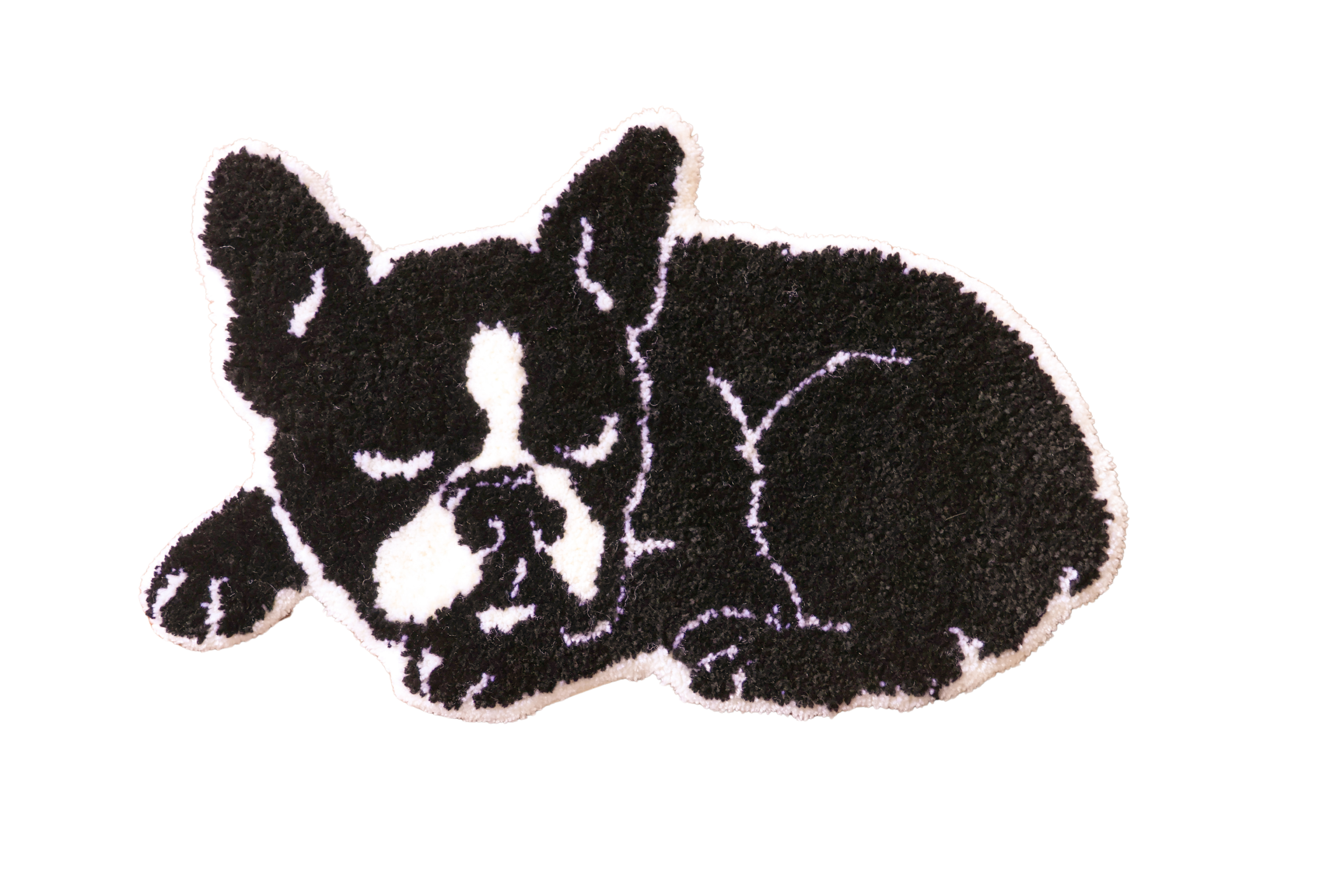 おひるね犬_bostonterrier